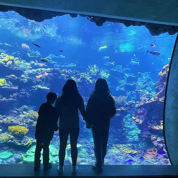 Meet your Posher, Renee - Picture 3 of 4